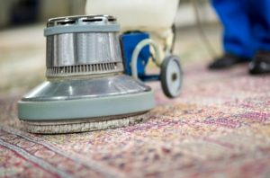 rug cleaning warren nj